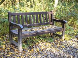 Wooden bench in a wood covered in fallen autumn leaves photo