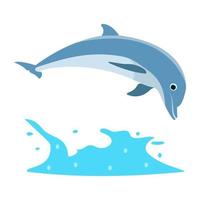 Jumping Dolphin Concepts vector