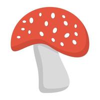 Trendy Mushroom Concepts vector