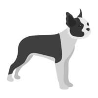Dog Character Concepts vector