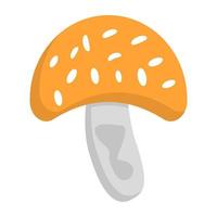 Edible Mushroom Concepts vector