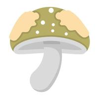 Edible Mushroom Concepts vector