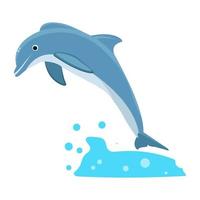 Jumping Dolphin Concepts vector