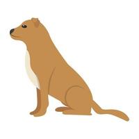 Trendy Beagle Concepts vector