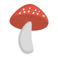 Trendy Mushroom Concepts vector