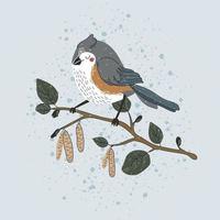 Titmouse on a branch of a winter tree. Illustration of a cute happy little tit on a background of falling snow vector