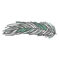 hand drawn pine branch, spruce vector