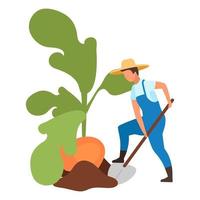 Autumn harvest flat vector illustration. Farmer harvesting big turnip with shovel cartoon character. Cultivation and growing root vegetables. Agricultural works. Farm worker digging root crops