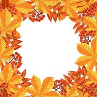 Autumn colorful square frame of leaves. Autumn yellow foliage of trees, red rowan berries, collected in a frame. vector