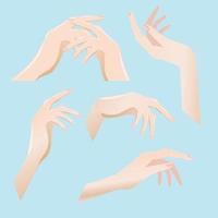 Set of female hands in different angles. vector