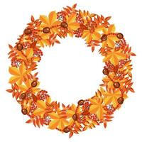 Autumn colorful round frame of leaves. Autumn yellow foliage of trees, red rowan berries collected in a wreath. vector