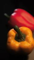 Closeup photo of yellow and red peppers