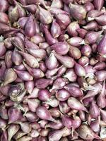 fresh garlic, onion, red onion photo