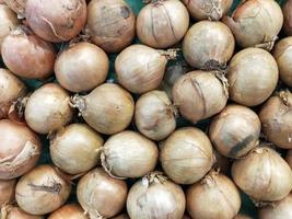 fresh garlic, onion, red onion