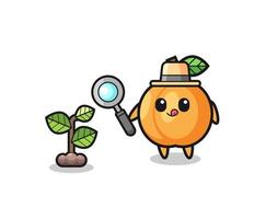 cute apricot herbalist researching a plants vector
