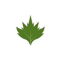 Nature leaf icon and symbol template vector