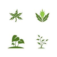 vector de plantilla de icono y símbolo de hoja de naturaleza