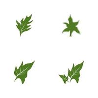 vector de plantilla de icono y símbolo de hoja de naturaleza