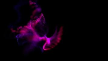 Abstract pink black background