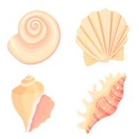 Set of conch flat Illustration. Colorful tropical shell collection.