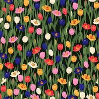 patrón floral transparente tulipanes rojos, amarillos, púrpuras, rosas y hojas verdes. vector