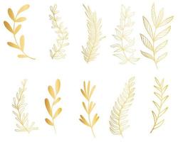 Set of golden botanical branches vector illustration