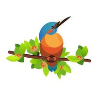 Bird kingfisher on a branch. Stock vector illustration isolated on white background.