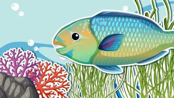 Thumbnail design with parrot fish in the sea vector