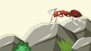 Thumbnail Design with close up of an ant on stone vector