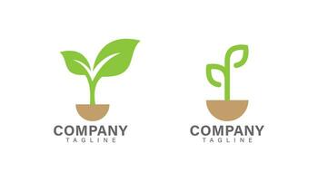 Green plant logo vector design