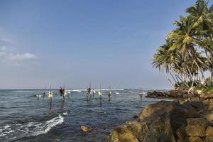 UNAWATUNA, SRI LANKA, JANUARY 25, 2014 - Unidentified stilt fishermen at Unawatuna, Sri Lanka. Stilt fishing is special to Galle district and thereare about 500 fishing families in the coastal belt. photo