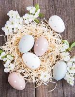 Nest with easter eggs photo