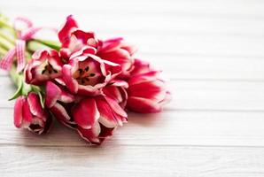 tulipanes de primavera rosa foto