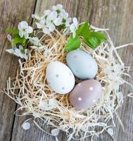 Nest with easter eggs photo