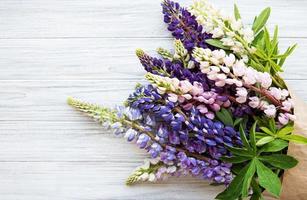 Pink and purple lupine flowers border photo