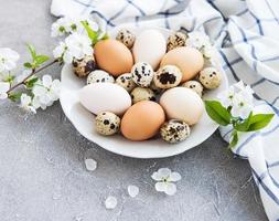 Plate with chicken eggs photo