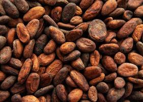 Cocoa beans background photo