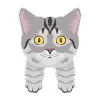 Trendy Persian Concepts vector