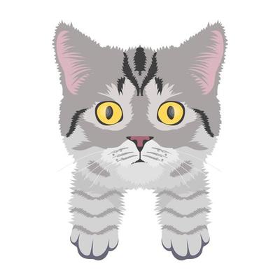 Trendy Persian Concepts