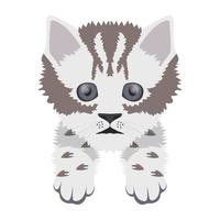 Trendy Kitten Concepts vector
