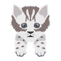 conceptos de gatito de moda vector