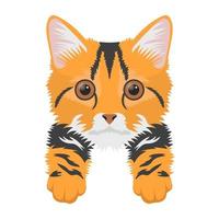 conceptos de moda de tigercat vector