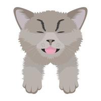 conceptos de gato mascota vector