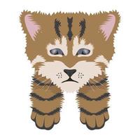 Sad Toyger Concepts vector