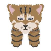 Sad Toyger Concepts vector