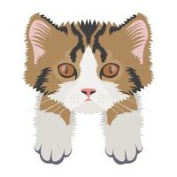 Toyger Cat Concepts vector