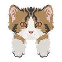 conceptos de gato toyger vector