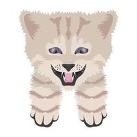 Trendy Wildcat Concepts vector