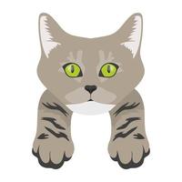 Cross Cat Concepts vector