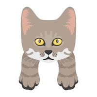 conceptos de gato del bosque vector